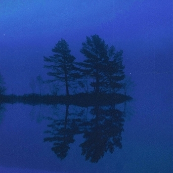 The morph – calmness