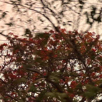 Gacabe, Jecabe – October