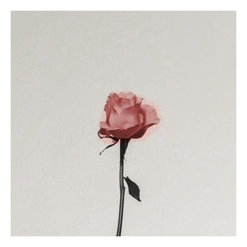 Gacabe & Jecabe – Mariage D'amour (Spring Waltz)