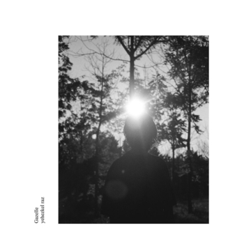 Yehezkel Raz – Gazelle