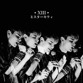 Mr.Kitty – Xiii