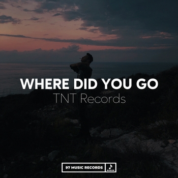 TNT Records – Where Did You Go