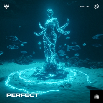 Tescao – Perfect