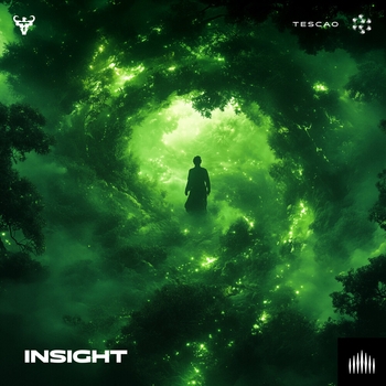 Tescao – Insight (Radio Edit)