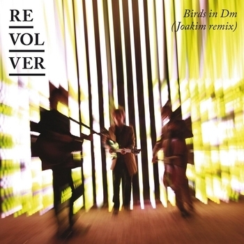 Revolver – Birds In Dm (Joakim Remix) (Single 2009) (Joakim Remix)