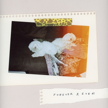 SALES – Moon Dogs (Forever and Ever 2018)