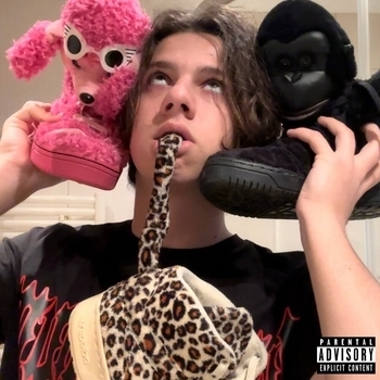 Radik – Zvtr
