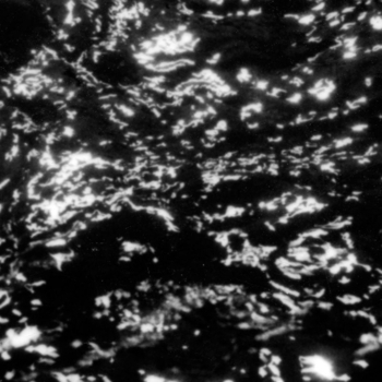Grouper – Soul Eraser