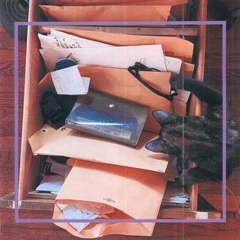 Broncho – It's Confidential