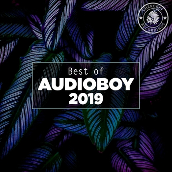Audioboy – Without You (Radio Edit) (Best of Audioboy 2019) (Radio Edit)