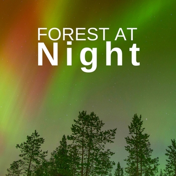 Deep Forest – Calmness and Serenity Relaxation Music (Forest at Night: Relaxing Nature Night Sounds 2019)