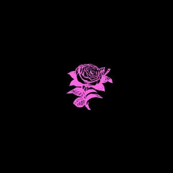 fenekot – Mr.Lonely (Single 2021)