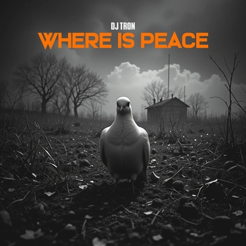 DJ Tron – Where Is Peace
