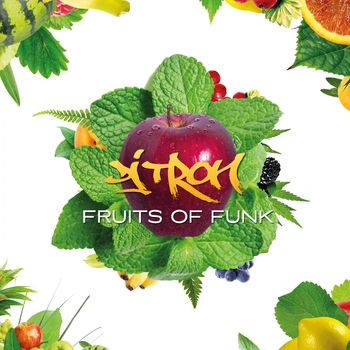DJ Tron – The Funky Break (Remix)