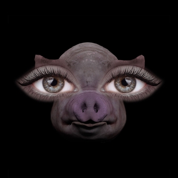 SOFIA ISELLA – Us and Pigs
