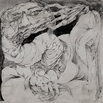 SOFIA ISELLA – Above the Neck