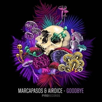 Marcapasos – Goodbye