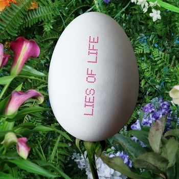 Brick + Mortar – Lies of Life
