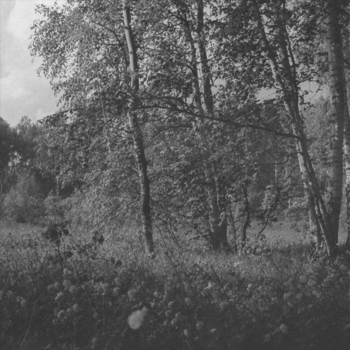 Motorama – Empty Bed