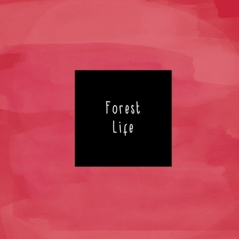 McCafferty – Jeff