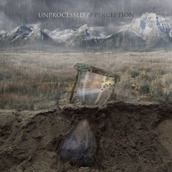 Unprocessed – Perspective (Perception 2016)