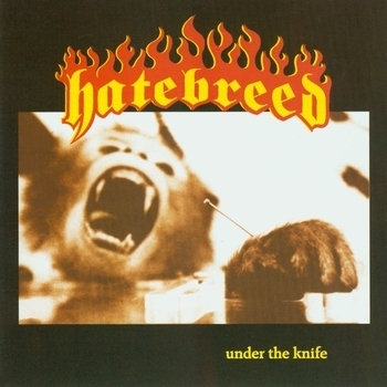 Hatebreed – Puritan