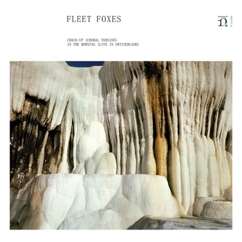 Fleet Foxes – In The Morning (Live in Switzerland)