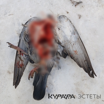 Курара – Будда (Album mix)