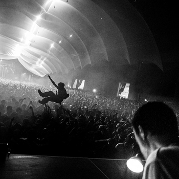 Fred again.. – Jungle