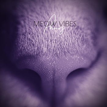 Phurs – Meow Vibes (Single 2021)