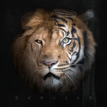 Janaga – Не из вашего круга (Single 2020)