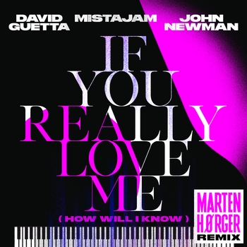 David Guetta – If You Really Love Me (How Will I Know) (Marten Hørger Remix Extended)