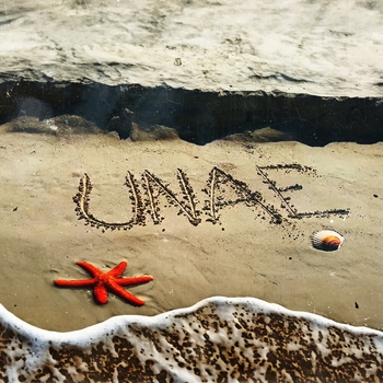 Alex Velea – UNAE