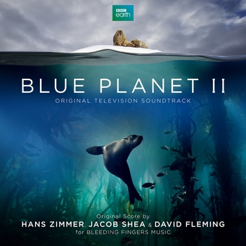 Jacob Shea – Race to Feed