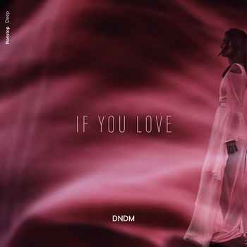Dndm – If You Love (Single 2022)