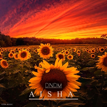 Dndm – Aisha (2023)