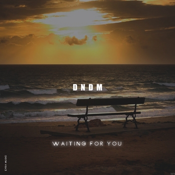 Dndm – Waiting For You