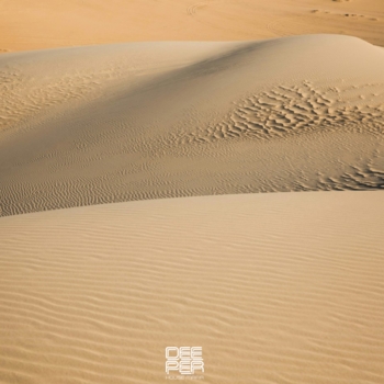Dieez – Postman Horns