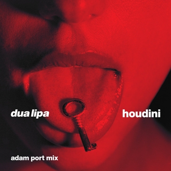Dua Lipa – Houdini (Adam Port Mix) (2023) (Adam Port Mix)