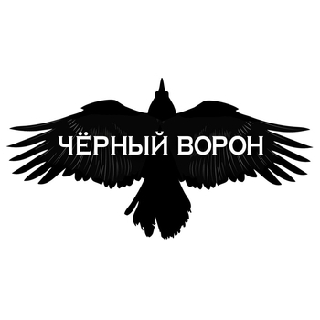 Shaman – Чёрный ворон (2024)