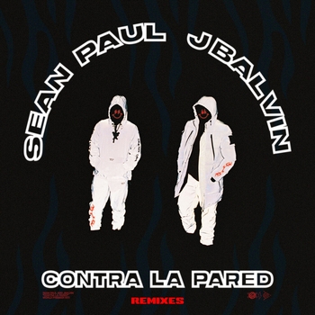 Sean Paul – Contra La Pared (GTA Remix)
