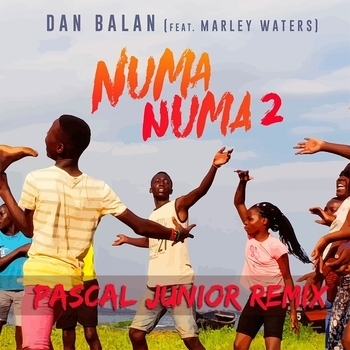 Dan Balan – Numa Numa 2 (Pascal Junior Remix)