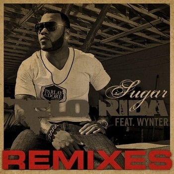 Flo Rida – Sugar (feat. Wynter) (Mondotek radio edit) (Remixes 2009) (Mondotek Remix Edit; feat. Wynter)