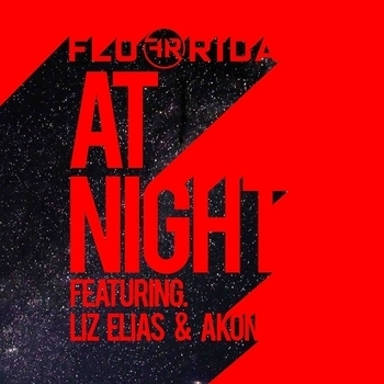 Flo Rida – At Night (feat. Liz Elias and Akon) (Single 2016) (feat. Liz Elias and Akon)