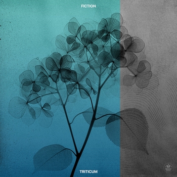 Triticum – Fiction
