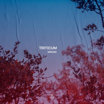 Triticum – Wrong (2024)