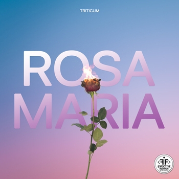 Triticum – Rosa Maria (Новинки 2022)