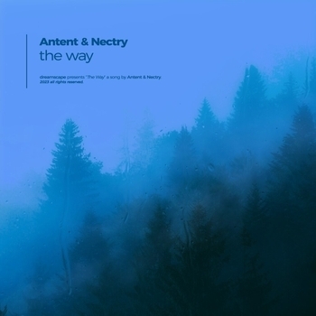 Antent – the way