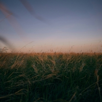 Antent – take me home