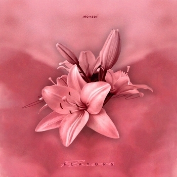 Movedi – Flavors